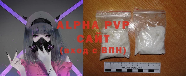 амф Гусиноозёрск