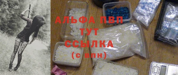 амф Гусиноозёрск