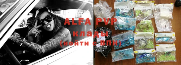 амф Гусиноозёрск