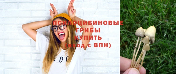 амф Гусиноозёрск